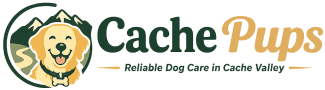 Cache Pups